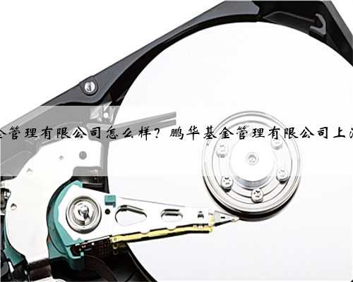 鹏华基金管理有限公司怎么样？鹏华基金管理有限公司上海分公司