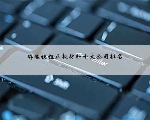 磷酸铁锂正极材料十大公司排名