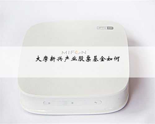 大摩新兴产业股票基金如何