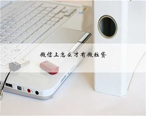 微信上怎么才有微粒贷