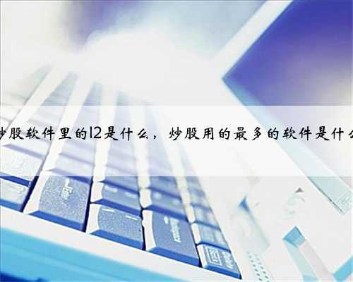 炒股软件里的l2是什么，炒股用的最多的软件是什么