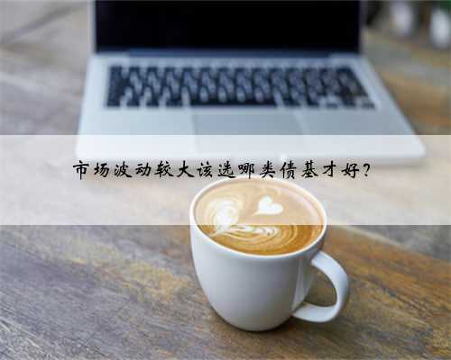 市场波动较大该选哪类债基才好？