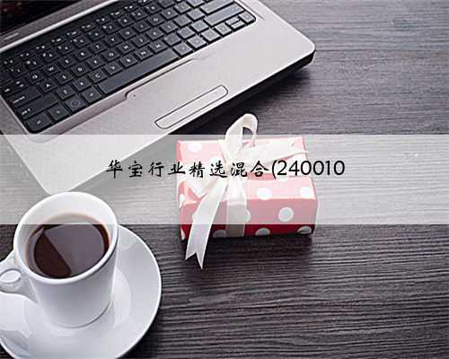 华宝行业精选混合(240010