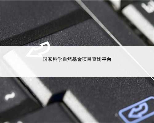 国家科学自然基金项目查询平台