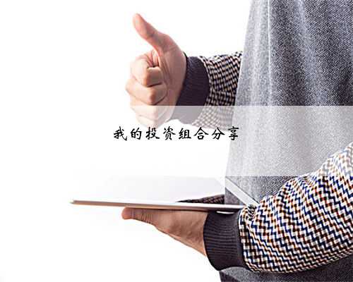 我的投资组合分享