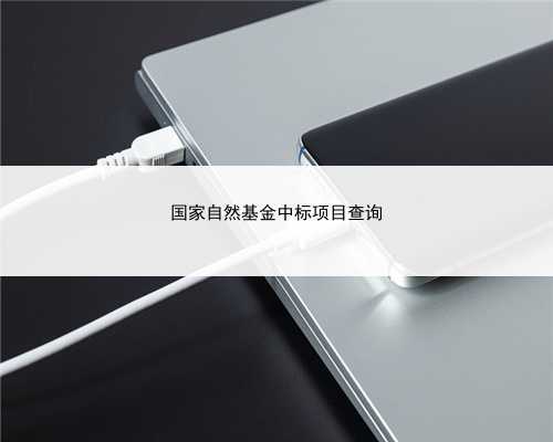 国家自然基金中标项目查询