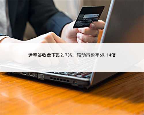 远望谷收盘下跌2.73%，滚动市盈率69.14倍