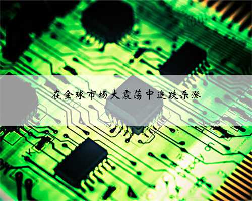 在全球市场大震荡中追跌杀涨