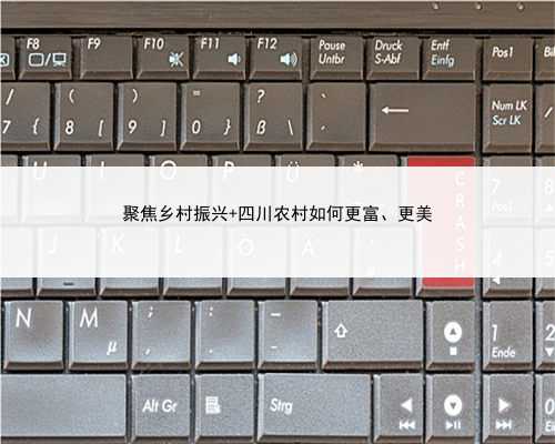 聚焦乡村振兴 四川农村如何更富、更美