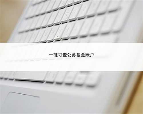 一键可查公募基金账户