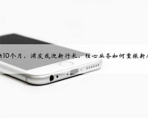 空缺10个月，浦发或迎新行长，核心业务如何重振新局？