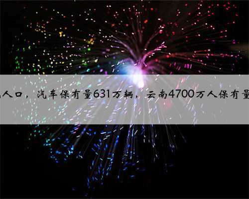 越南1亿人口，汽车保有量631万辆，云南4700万人保有量多少？