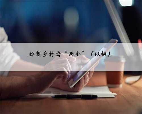 扮靓乡村需“两全”（纵横）