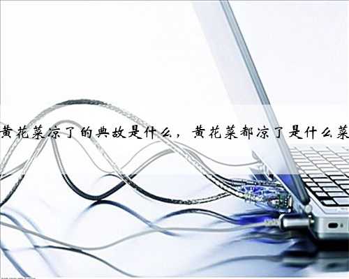 黄花菜凉了的典故是什么，黄花菜都凉了是什么菜